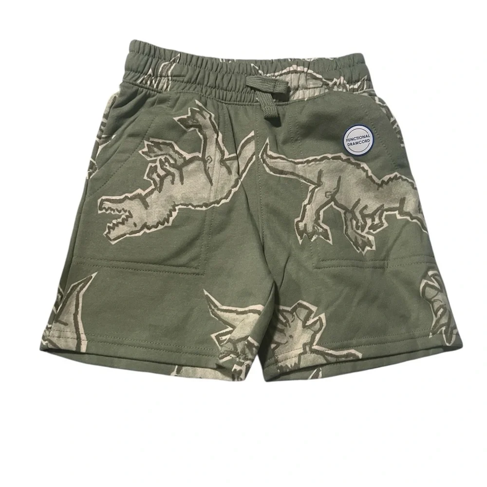 Green Dinosaur Print Elastic Waist Shorts